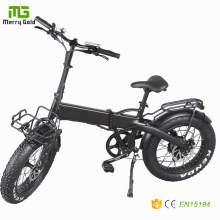 New Electric Bike / 250W350W Fat Tire Foldable Electric Bicycle/ Folding E Bike